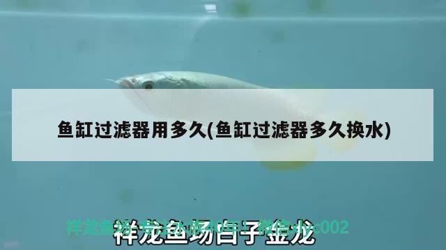 阜南縣植覺水族用品店 阜南縣植覺水族用品店 全國水族館企業名錄 第1張