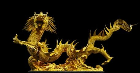 紅龍魚神經質：紅龍魚的神經質行為 紅龍魚神經質：紅龍魚的神經質行為 紅龍魚百科 第1張