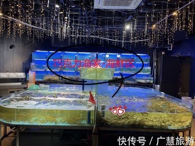 日照水族館vs祥龍魚場（日照水族館與祥龍魚場各有側重）
