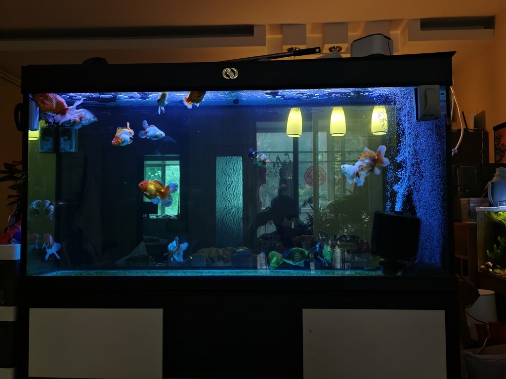 魚缸燈光求助