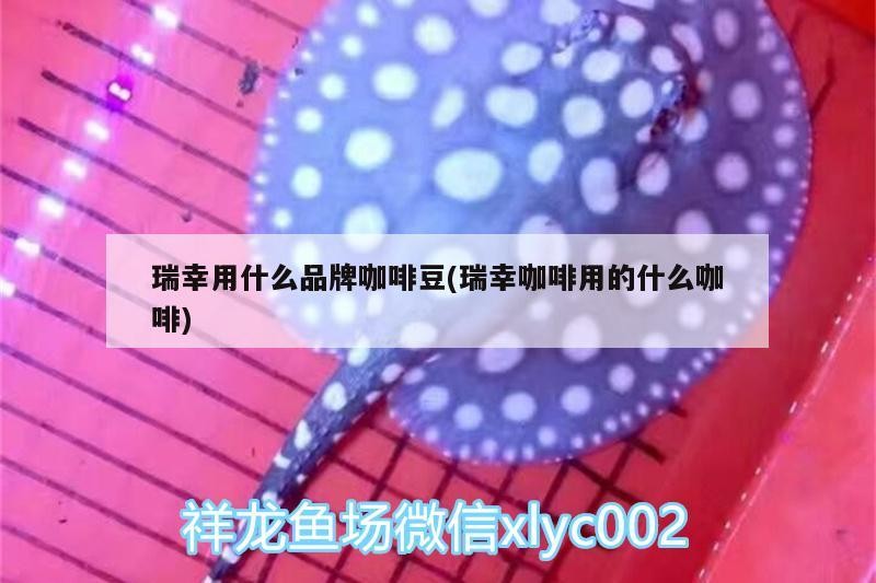 瑞幸用什么品牌咖啡豆(瑞幸咖啡用的什么咖啡)