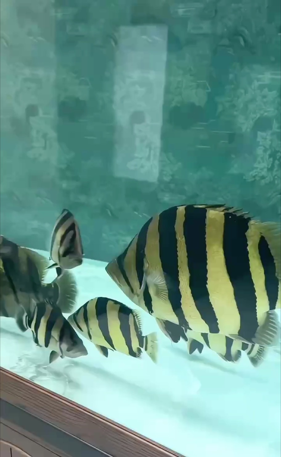 興趣很貴精神可貴