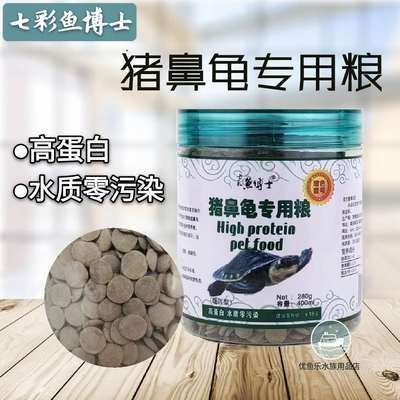 豬鼻龜長到多大喂下沉飼料:豬鼻龜喂多少合適 豬鼻龜百科 第3張 豬鼻龜長到多大喂下沉飼料:豬鼻龜喂多少合適 豬鼻龜長到多大喂下沉飼料:豬鼻龜喂多少合適 豬鼻龜百科 第3張