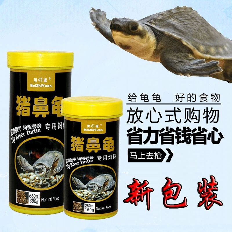 豬鼻龜長到多大喂下沉飼料:豬鼻龜喂多少合適 豬鼻龜百科 第5張 豬鼻龜長到多大喂下沉飼料:豬鼻龜喂多少合適 豬鼻龜長到多大喂下沉飼料:豬鼻龜喂多少合適 豬鼻龜百科 第5張