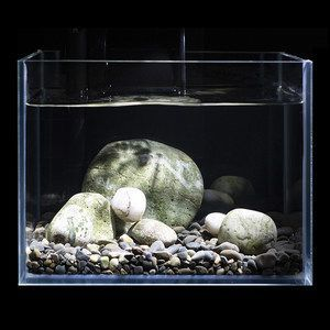 給大魚缸換水的作文:體驗給大魚缸換水的樂趣:體驗給大魚缸換水:給大魚缸換水的作文 創寧水泵售后官網查詢網(創寧水泵售后官網查詢網站) 創寧水族 創寧水泵售后官網查詢網(創寧水泵售后官網查詢網站) 創寧水泵售后官網查詢網(創寧水泵售后官網查詢網站) 創寧水族
