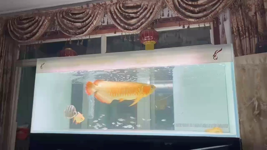 2024.8.25每月簽到