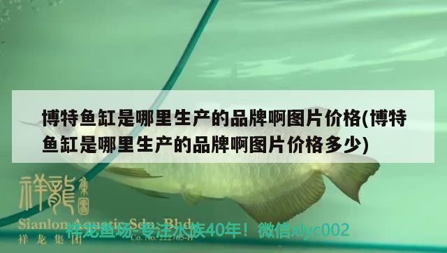 博特魚缸是哪里生產的品牌啊圖片價格(博特魚缸是哪里生產的品牌啊圖片價格多少)