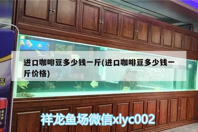進(jìn)口咖啡豆多少錢(qián)一斤(進(jìn)口咖啡豆多少錢(qián)一斤價(jià)格)
