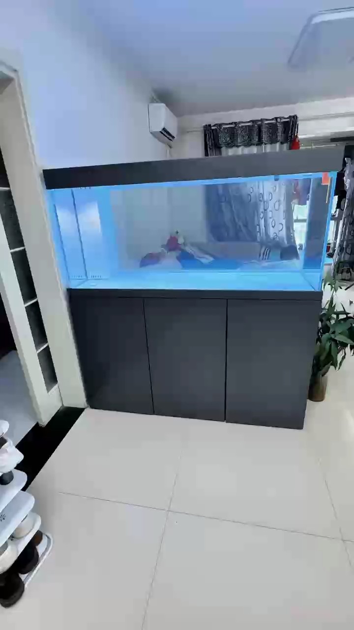 魚缸用增氧泵價格是多少:魚缸增氧機-xtrac增氧機-xtrac增氧機 這下不怕游不開了,豪宅回來了! 龍魚論壇 這下不怕游不開了,豪宅回來了! 這下不怕游不開了,豪宅回來了! 龍魚論壇
