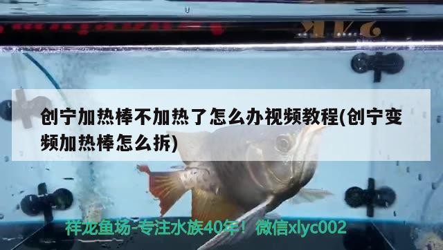 創(chuàng)寧加熱棒不加熱了怎么辦視頻教程(創(chuàng)寧變頻加熱棒怎么拆)