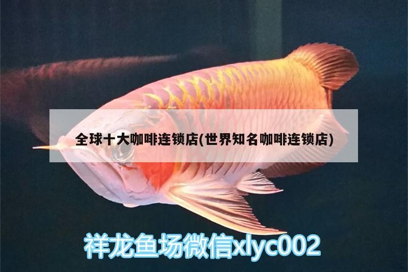 魚缸用增氧泵價格是多少:魚缸增氧機-xtrac增氧機-xtrac增氧機 全球十大咖啡連鎖店(世界知名咖啡連鎖店) 馬來西亞咖啡 全球十大咖啡連鎖店(世界知名咖啡連鎖店) 全球十大咖啡連鎖店(世界知名咖啡連鎖店) 馬來西亞咖啡