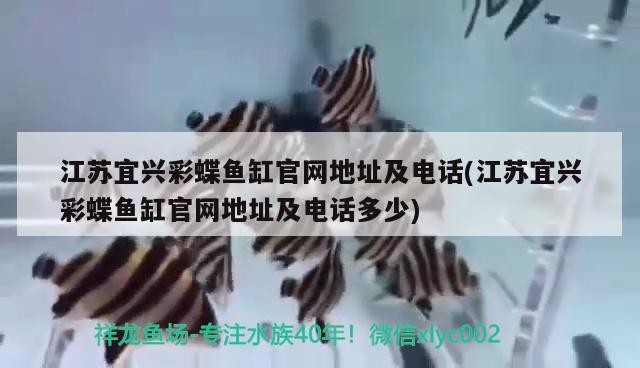 龍魚用頂燈好還是側燈好，金龍魚用頂燈好還是側燈好，龍魚用頂燈好還是側燈好