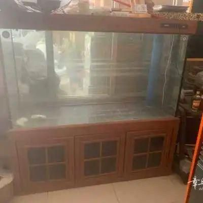 單縣二手魚缸出售:單縣地區有多家店鋪和個人出售二手魚缸