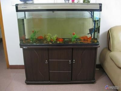 單縣二手魚缸出售:單縣地區有多家店鋪和個人出售二手魚缸