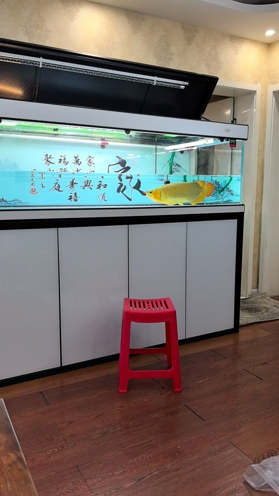 三分之一水下麻藥倒缸