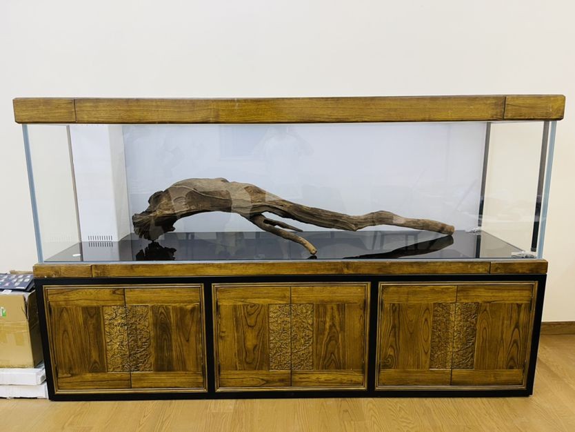 養虎魚放沉木有好處嗎：養虎魚放沉木有什么好處？ 養虎魚放沉木有好處嗎：養虎魚放沉木有什么好處？ 虎魚百科 第3張