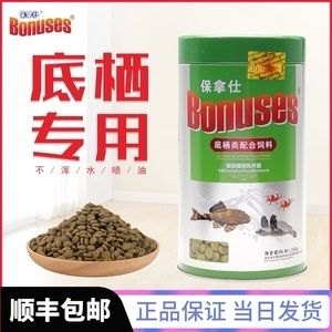豬鼻龜招財(cái)嗎圖片：豬鼻龜在文化上被認(rèn)為能夠帶來財(cái)運(yùn)和吉祥物轉(zhuǎn)運(yùn)旺財(cái)