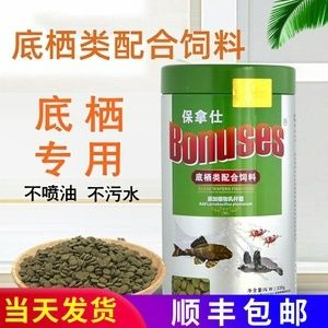 豬鼻龜招財(cái)嗎圖片：豬鼻龜在文化上被認(rèn)為能夠帶來財(cái)運(yùn)和吉祥物轉(zhuǎn)運(yùn)旺財(cái)