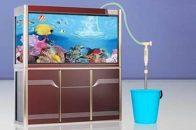 生態(tài)魚缸簡(jiǎn)單造景方法圖片視頻