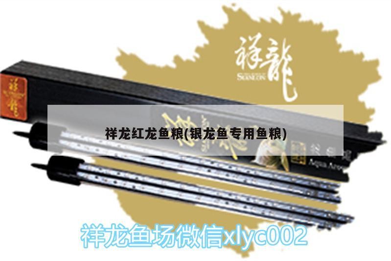 祥龍紅龍魚糧(銀龍魚專用魚糧)