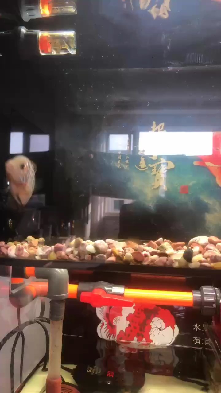 小泰幻