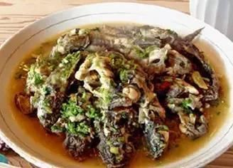 8厘米大虎魚苗水溫要多少度：8厘米大的虎魚苗水溫要多少度