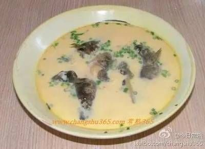 8厘米大虎魚苗水溫要多少度：8厘米大的虎魚苗水溫要多少度