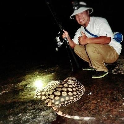 魟魚毒刺危險嗎有毒嗎：魟魚毒刺危險嗎 魟魚毒刺危險嗎有毒嗎：魟魚毒刺危險嗎 魟魚百科 第3張