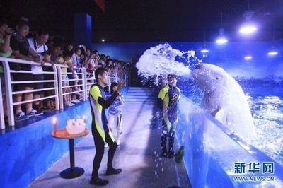 天津水族館vs祥龍魚(yú)場(chǎng)（天津水族館與祥龍魚(yú)場(chǎng)的區(qū)別）