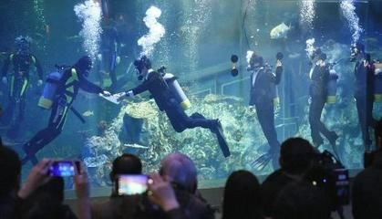 漯河水族館vs祥龍魚場（對(duì)比漯河水族館和祥龍魚場的相關(guān)信息）