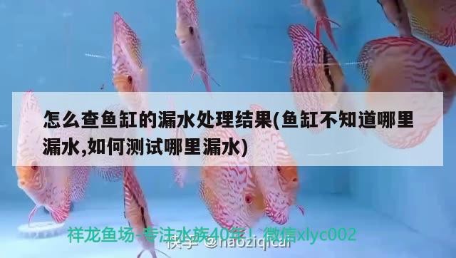 怎么查魚缸的漏水處理結果(魚缸不知道哪里漏水,如何測試哪里漏水)