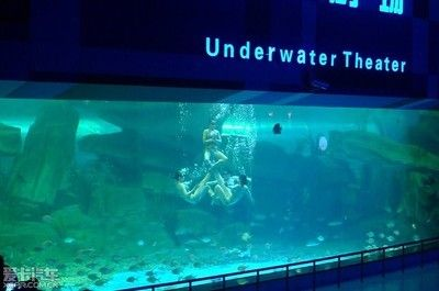 泰安水族館vs祥龍魚場(泰安水族館與祥龍魚場各有側重) 全國水族館企業名錄 第3張 泰安水族館vs祥龍魚場(泰安水族館與祥龍魚場各有側重) 泰安水族館vs祥龍魚場(泰安水族館與祥龍魚場各有側重) 全國水族館企業名錄 第3張