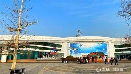 泰安水族館vs祥龍魚場(泰安水族館與祥龍魚場各有側重) 全國水族館企業名錄 第4張 泰安水族館vs祥龍魚場(泰安水族館與祥龍魚場各有側重) 泰安水族館vs祥龍魚場(泰安水族館與祥龍魚場各有側重) 全國水族館企業名錄 第4張
