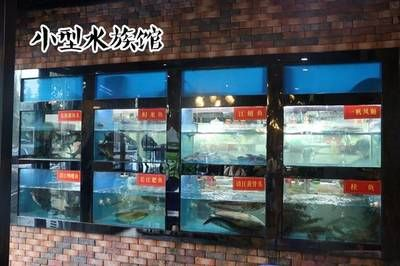 宜昌水族館vs祥龍魚場（宜昌水族館和祥龍魚場是一家集觀賞、科普、休閑、娛樂為一體的水族館）