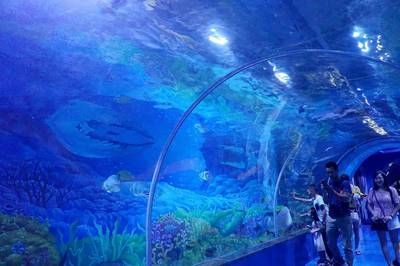 宜昌水族館vs祥龍魚場（宜昌水族館和祥龍魚場是一家集觀賞、科普、休閑、娛樂為一體的水族館）