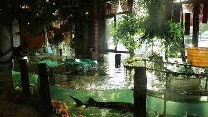 宜昌水族館vs祥龍魚場（宜昌水族館和祥龍魚場是一家集觀賞、科普、休閑、娛樂為一體的水族館）