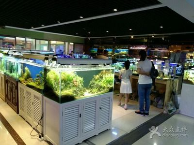 森森水族公司地址