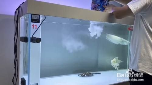 200升的魚缸加多少鹽：200升魚缸需要多少鹽