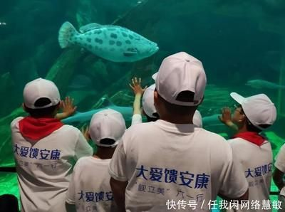 安康水族館vs祥龍魚場（安康水族館與祥龍魚場之間的差異之前，我們需要明確基本信息和特點）