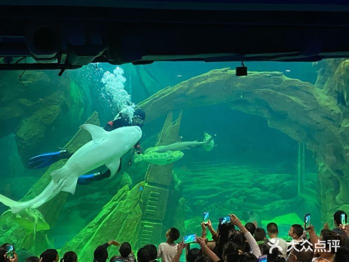 安康水族館vs祥龍魚場（安康水族館與祥龍魚場之間的差異之前，我們需要明確基本信息和特點）