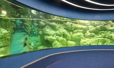 安康水族館vs祥龍魚場（安康水族館與祥龍魚場之間的差異之前，我們需要明確基本信息和特點）