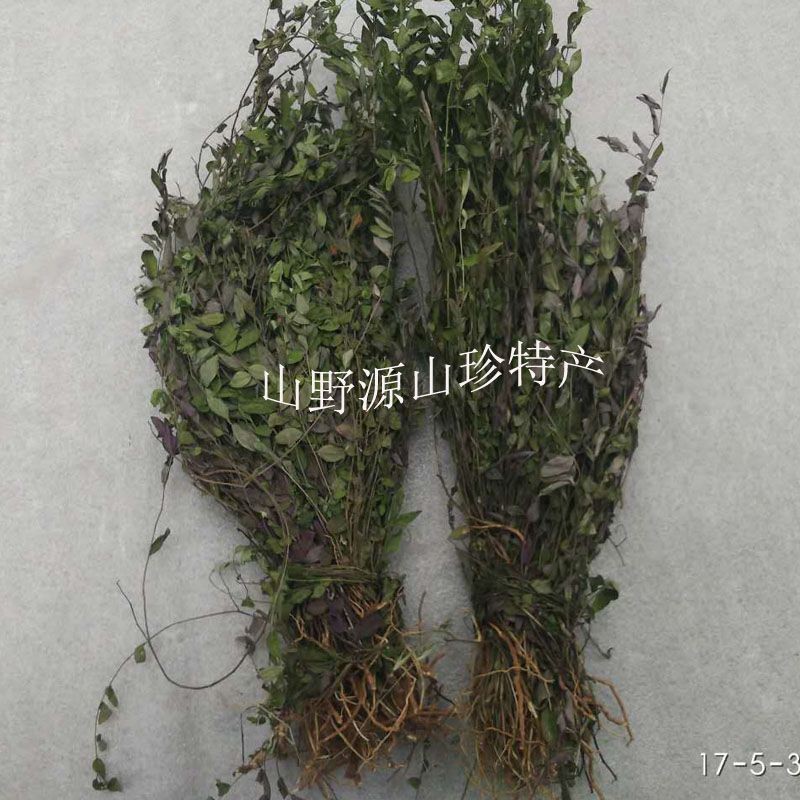 草藥亂馬回是什么樣子（亂馬回的功效與應用）