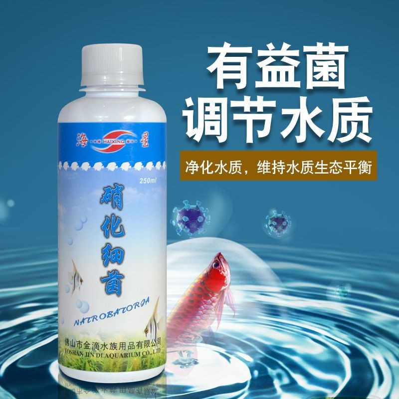 冬天魚缸里養(yǎng)什么水草：冬天養(yǎng)殖魚缸水質(zhì)管理技巧魚缸水草不僅可以美化水質(zhì)
