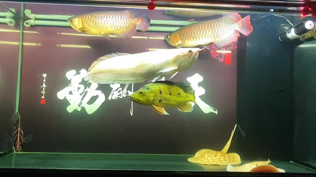 順其自然，是對生活最大的成全