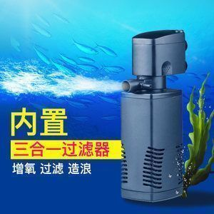 養金龍魚平時放硝化細菌嗎vs祥龍魚場：養金龍魚時放硝化細菌是否有利于維持水質清澈？