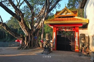 保山龍魚vs祥龍魚場（保山龍魚與祥龍魚場）