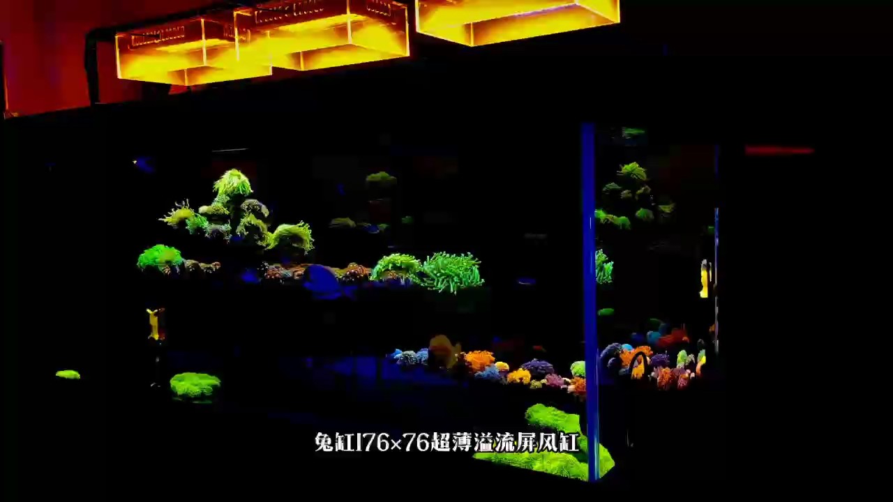 兔巴何龍魚(yú)工坊超薄溢流屏風(fēng)缸