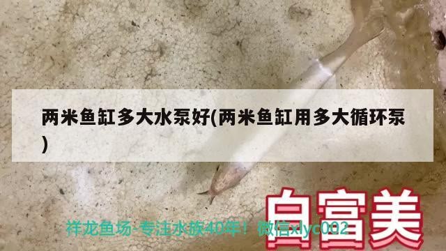 兩米魚(yú)缸多大水泵好(兩米魚(yú)缸用多大循環(huán)泵)