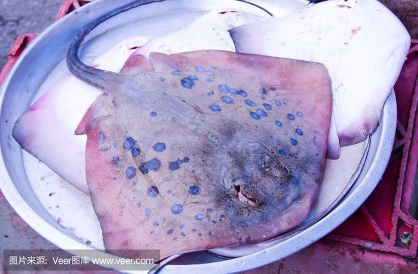 魟魚消化不良的急救措施：魟魚消化不良的急救措施[需手動填充][需手動填充]魚消化不良的急救措施 魟魚消化不良的急救措施：魟魚消化不良的急救措施[需手動填充][需手動填充]魚消化不良的急救措施 魟魚百科 第1張