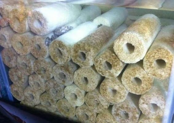魟魚消化不良的急救措施：魟魚消化不良的急救措施[需手動填充][需手動填充]魚消化不良的急救措施 魟魚消化不良的急救措施：魟魚消化不良的急救措施[需手動填充][需手動填充]魚消化不良的急救措施 魟魚百科 第3張